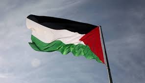 "فلسطين في قلبي"